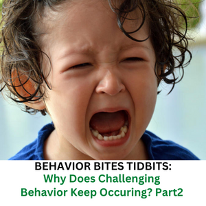 challenging behaviors part 2
