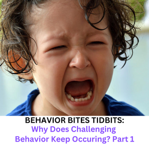bb bits challenging behavior part 1
