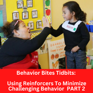 bbtb challenging behavior part 2