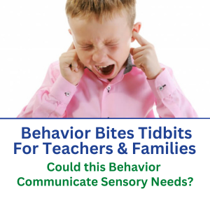 bbtb_sensory needs