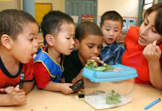 Teacher-Child Interactions 